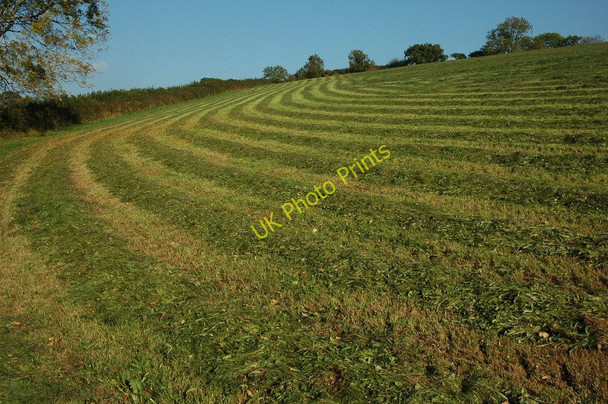 Photo 6"x4" Late silage cut, Llangovan Kingcoed c2010