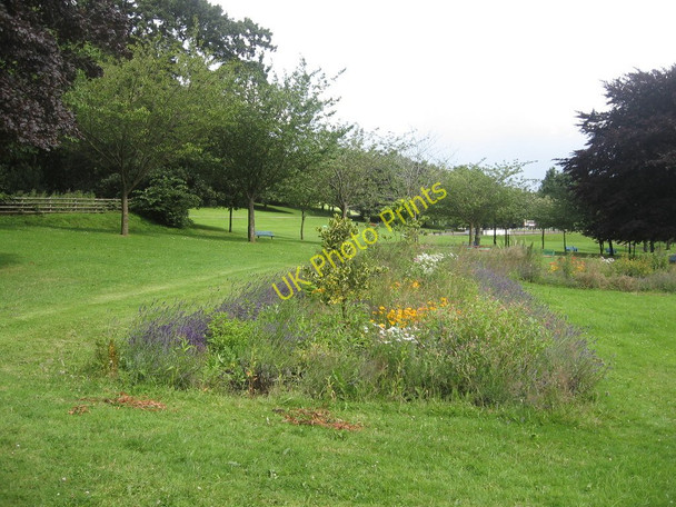 Photo 6"x4" Pontypool Park Pontypool\/Pont-y-pwl c2009