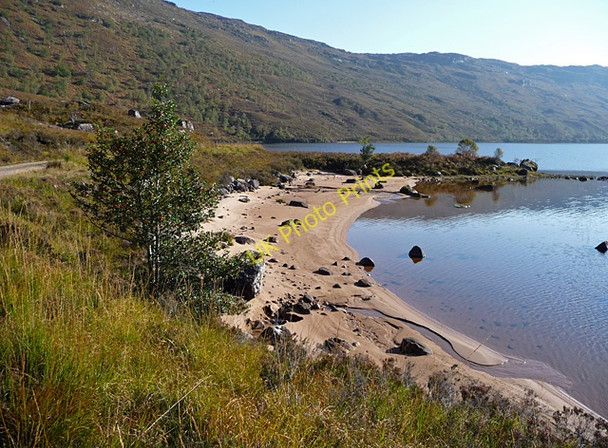 Photo 6"x4" Shoreline of Loch Damph Loch Damh c2010
