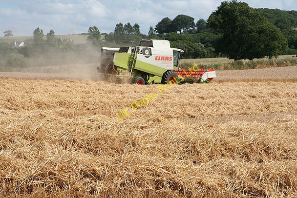 Photo 6"x4" North Tawton: harvesting near Newland Mill North Tawton c2006