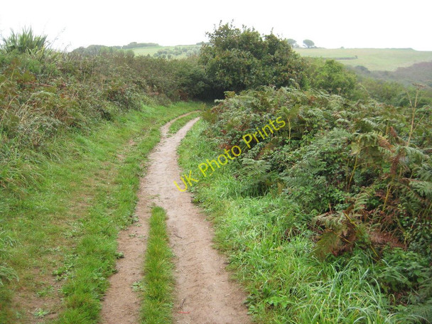 Photo 6"x4" Coast path above Newporth Head Falmouth c2010