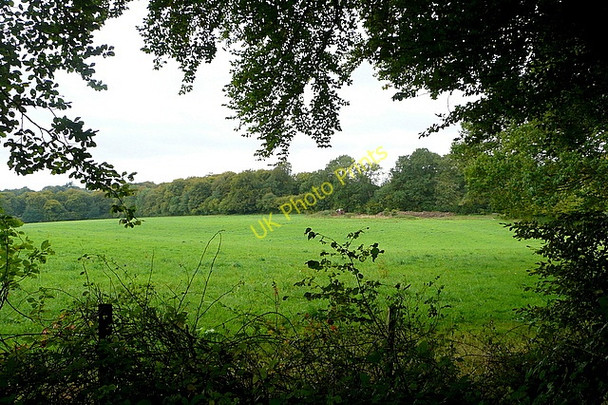 Photo 6"x4" Pasture west of Nettlebed Huntercombe End c2010