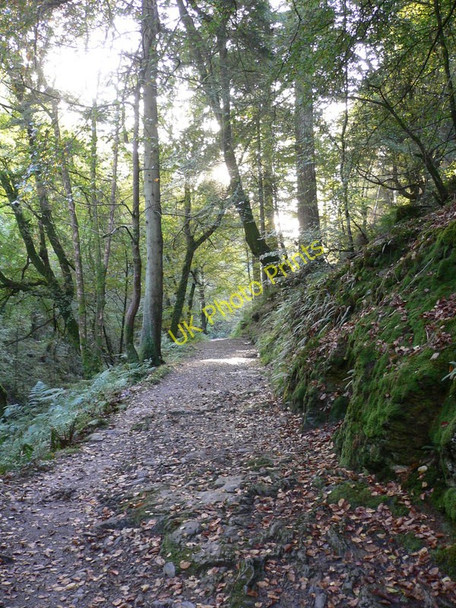Photo 6"x4" Path in Glen Helen Knocksharry c2010