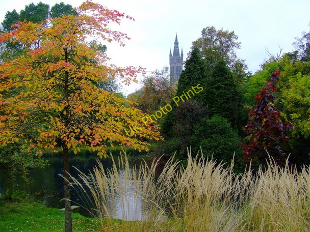 Photo 6"x4" Kelvingrove park lake Glasgow c2010