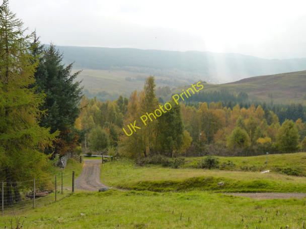 Photo 6"x4" Gated track Calvine c2010