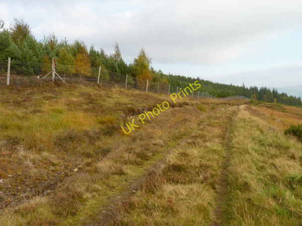 Photo 6"x4" Track by the trees Bruar c2010