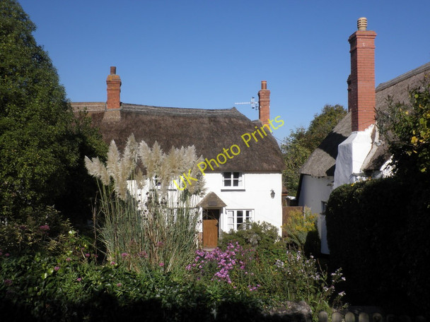 Photo 6"x4" Thatched cottages, Old Cleeve Bilbrook\/ST0341 c2010