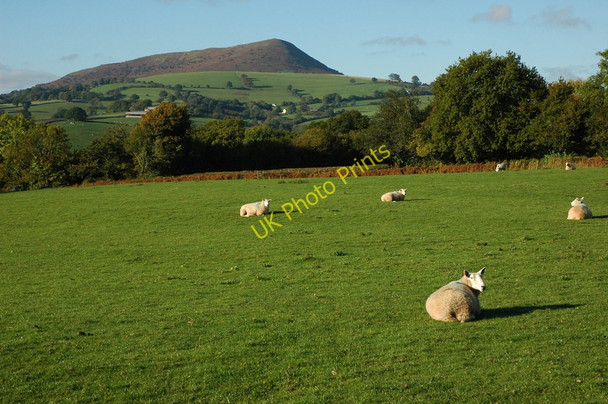 Photo 6"x4" View to Ysgyryd Fawr (Skirrid) Llangattock Lingoed c2010