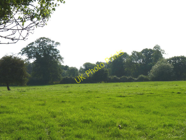 Photo 6"x4" Seamere trees Hingham c2010