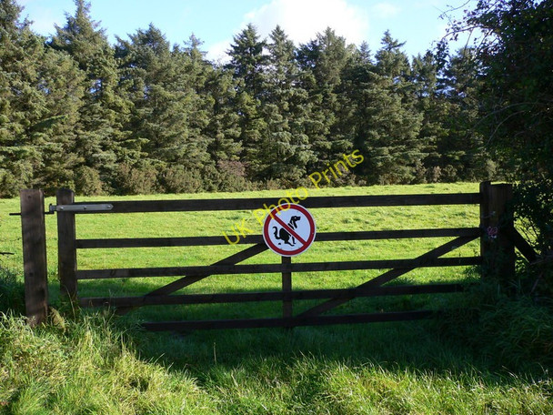 Photo 6"x4" Steam Heritage Trail on the Isle of Man (51) St John's\/SC2781 c2010