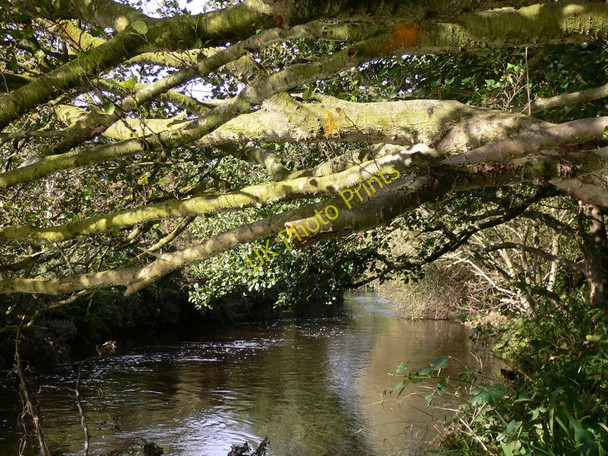 Photo 6"x4" Looking west down the River Neb near Ballabrooie Peel\/SC2484 c2010