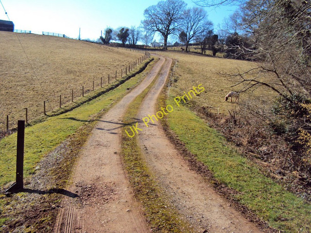 Photo 6"x4" Track to Tump Farm Tal-y-coed c2010