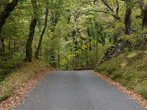 Photo 6"x4" Minor road climbing south from Dolgellau Dolgellau c2010