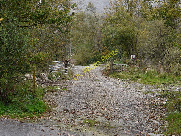 Photo 6"x4" Forestry entrance Dolgellau c2010