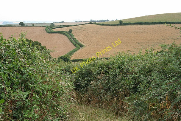 Photo 6"x4" Sandford: towards West Henstill Newbuildings c2006