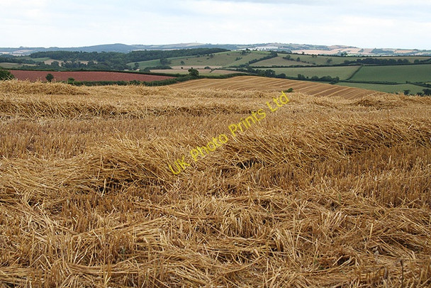 Photo 6"x4" Sandford: south from Middle Henstill West Sandford c2006