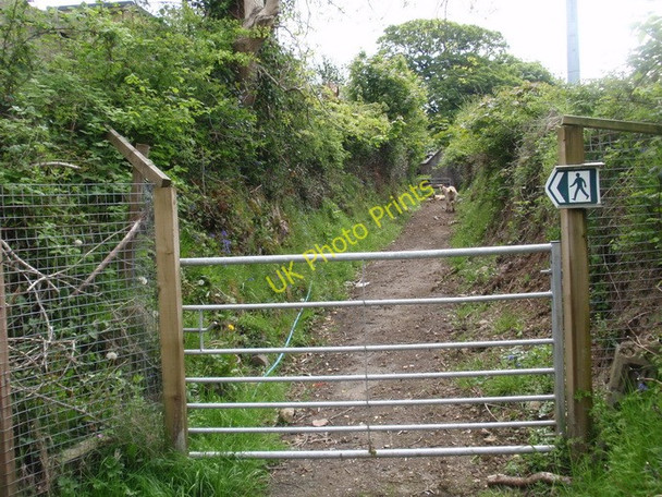 Photo 6"x4" Llwybr Llety Mawr Footpath, Tumble Tumble c2010