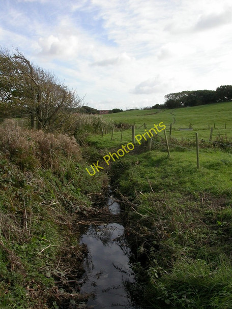 Photo 6"x4" Taddiford, Danes Stream Downton\/SZ2693 c2010