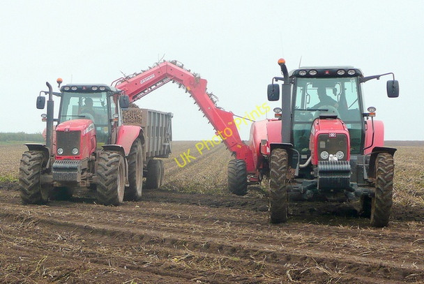 Photo 6"x4" Potato lifting time Bromsash c2010