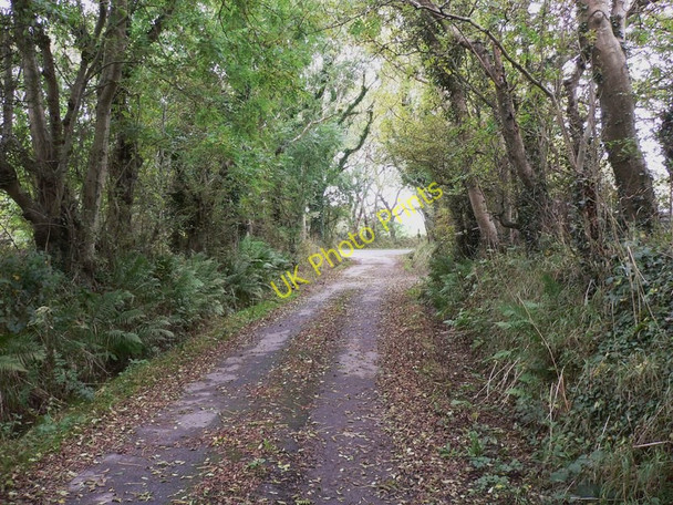 Photo 6"x4" Bayr ny Skeddan (Herring Road on Isle of Man) (77) Ballamodha c2010