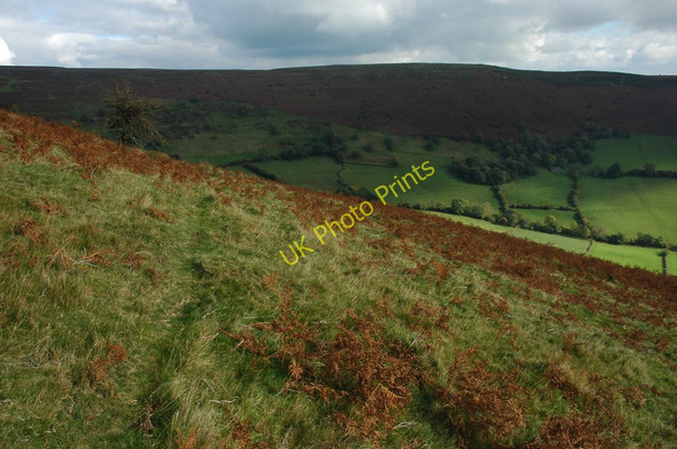 Photo 6"x4" Hillside across Cwm Iau Cwmyoy c2010