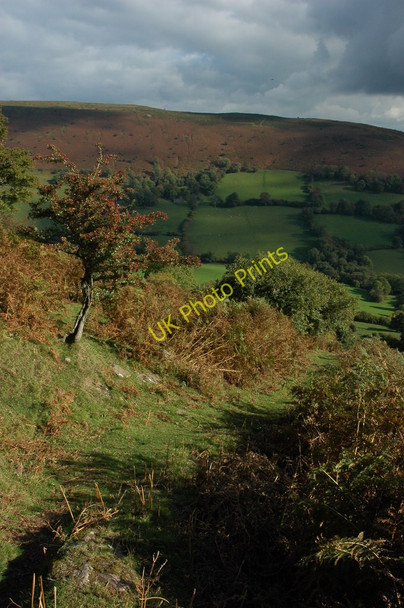 Photo 6"x4" Hillside above Cwm Iau Cwmyoy c2010