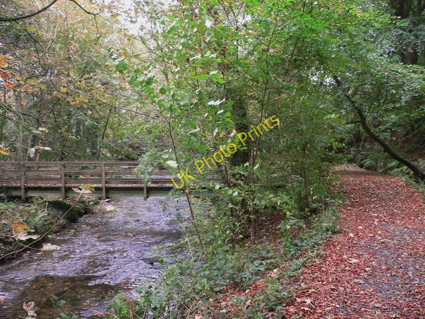 Photo 6"x4" Bayr ny Skeddan (Herring Road on Isle of Man) (88) Ballasalla\/SC2870 c2010