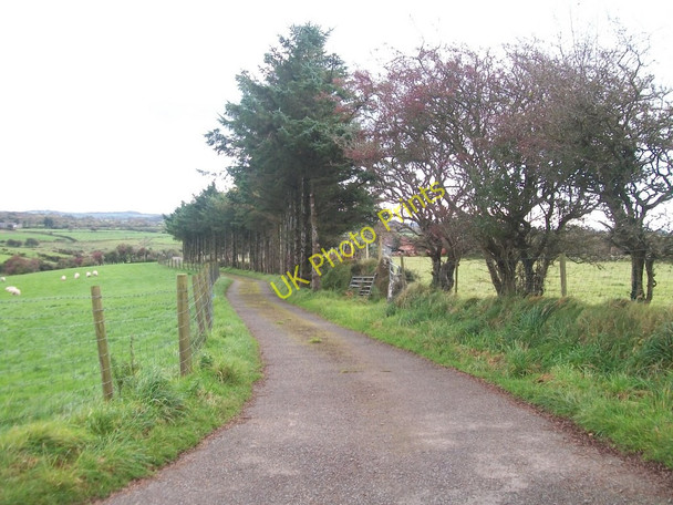 Photo 6"x4" Private road to Fferm Cefn Gwynus farm Llithfaen c2010