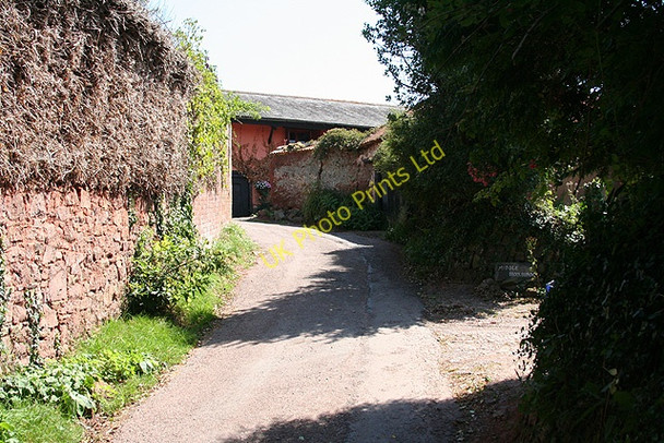 Photo 6"x4" Sandford: lane at Middle Woolsgrove Woolsgrove c2006