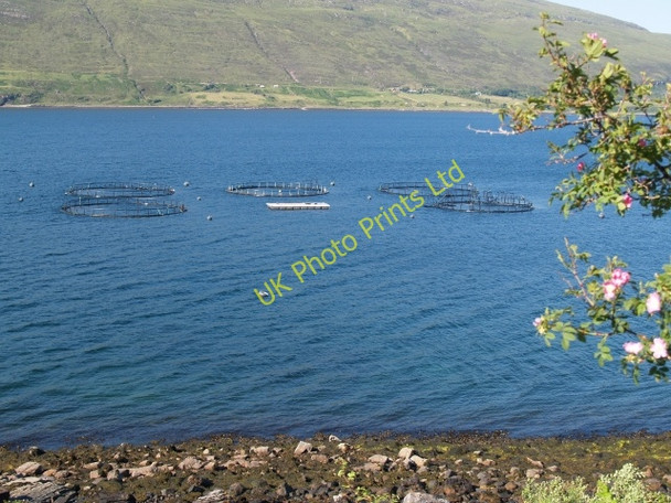 Photo 6"x4" Fish farm, Little Loch Broom Badcaul\/NH0291 c2006