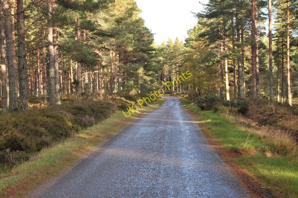 Photo 6"x4" Minor road passing through Fleenas Wood Littlemill\/NH9150 c2010 P1