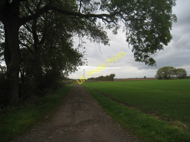 Photo 6"x4" The track into Bennington Fen Askerton Hill c2010