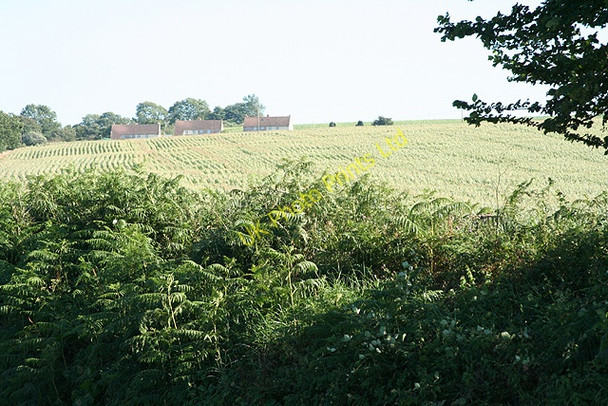 Photo 6"x4" Sandford: at Tail Corner Newbuildings c2006