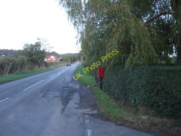 Photo 6"x4" The road to Willington Corner Weetwood Common c2010