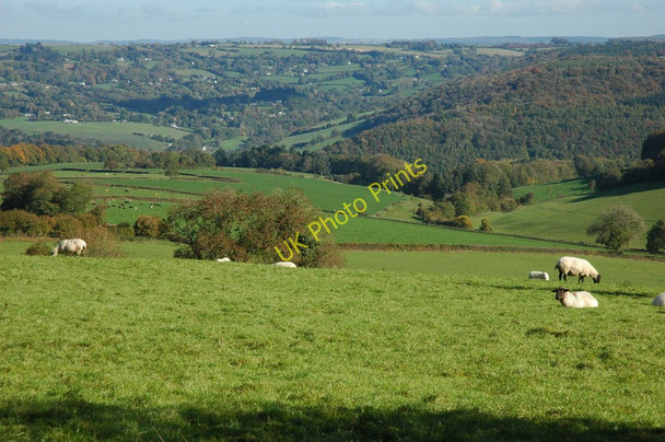 Photo 6"x4" View to St Briavels The Cot c2010