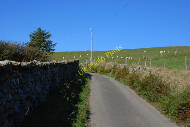 Photo 6"x4" Minor road approaching Cae'rmynach farm Llanegryn c2010