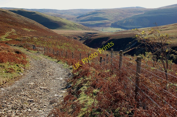 Photo 6"x4" Dryhope Burn and track Dryhope c2010