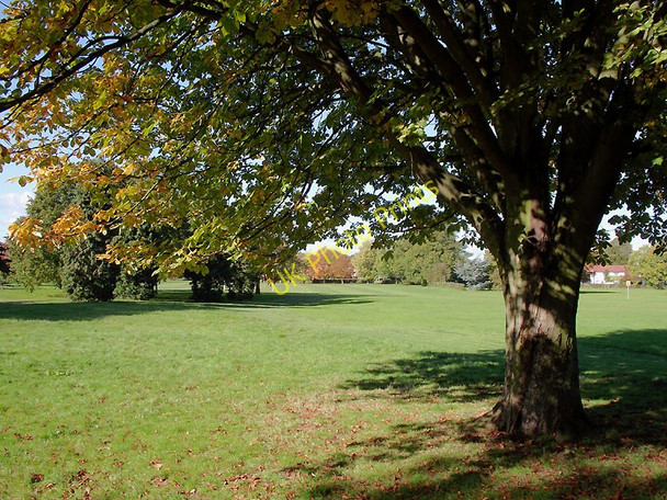 Photo 6"x4" Bantock Park at Bradmore, Wolverhampton Wolverhampton c2010