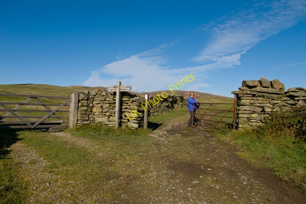Photo 6"x4" Bridleway junction near High House Grassgarth\/SD4499 c2010