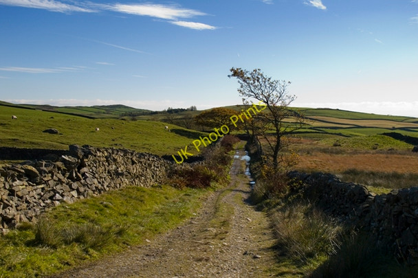 Photo 6"x4" Bridleway to The Heights Grassgarth\/SD4499 c2010