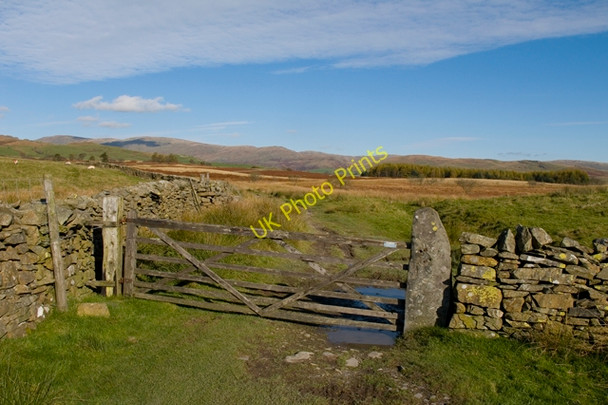 Photo 6"x4" Bridleway across Mickle Moss Grassgarth\/SD4499 c2010