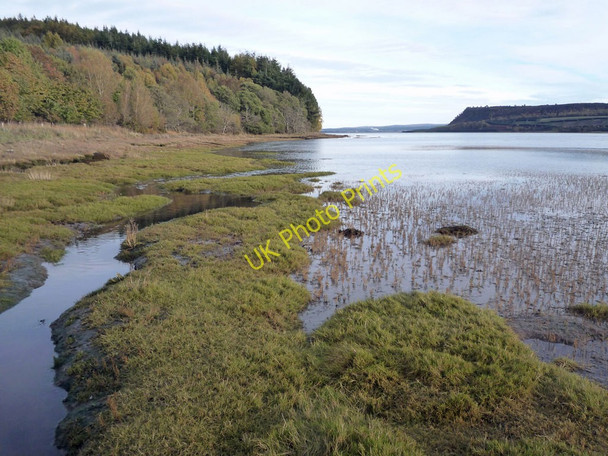 Photo 6"x4" Northern foreshore of Munlochy Bay Munlochy c2010