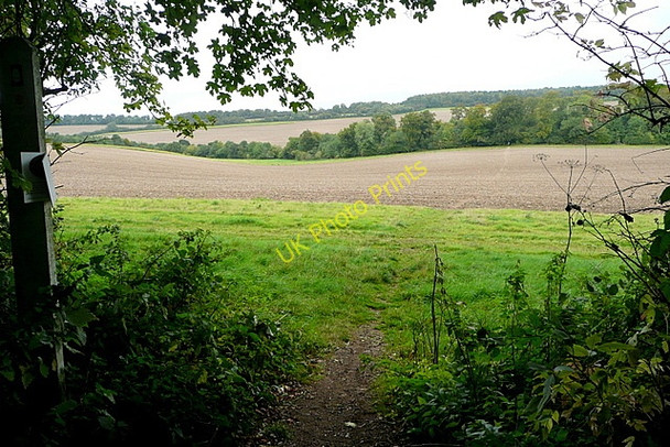 Photo 6"x4" The Ridgeway Path Huntercombe End c2010
