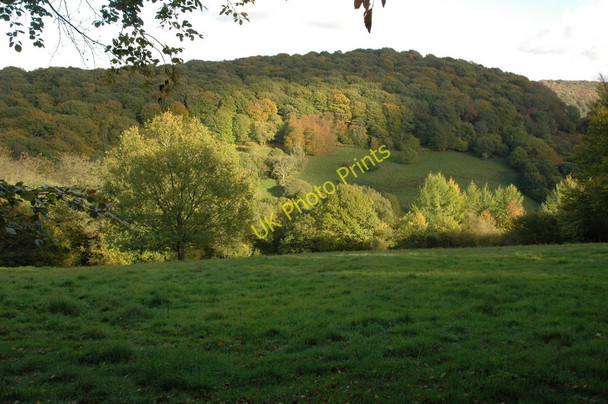 Photo 6"x4" View to Coed Beddick Chapel Hill\/SO5200 c2010
