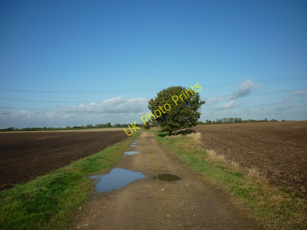 Photo 6"x4" The track to Wawne Swine c2010