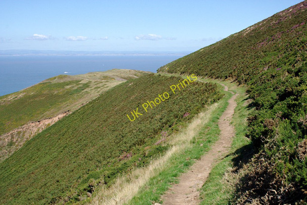 Photo 6"x4" The Coast Path around Butter Hill Countisbury c2010
