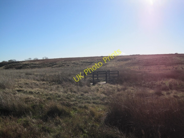 Photo 6"x4" Footbridge over Anchey Sike Coldcoats Sike c2010
