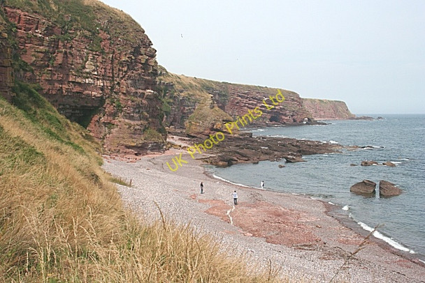 Photo 6"x4" Auchmithie Cliffs Auchmithie c2006
