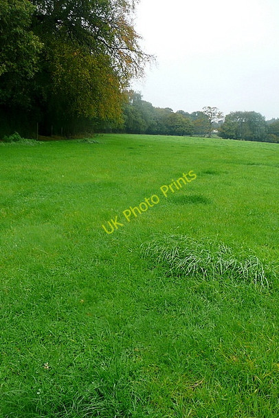 Photo 6"x4" Near Copse Wood Huntercombe End c2010