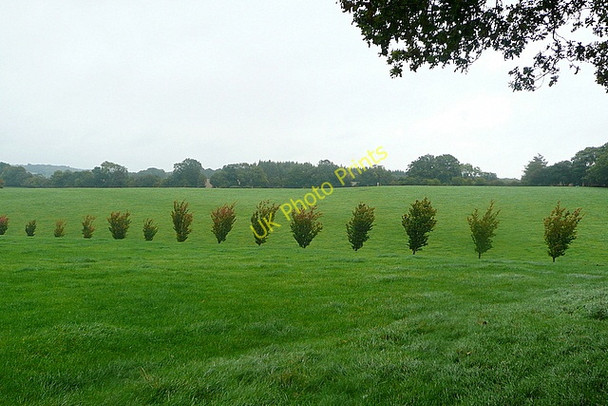Photo 6"x4" Field boundary near Shepherds Barn Huntercombe End c2010